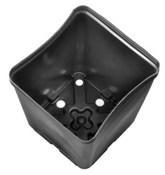 Gro Pro Square Plastic Pot 5.5 in x 5.5 in x 6 in